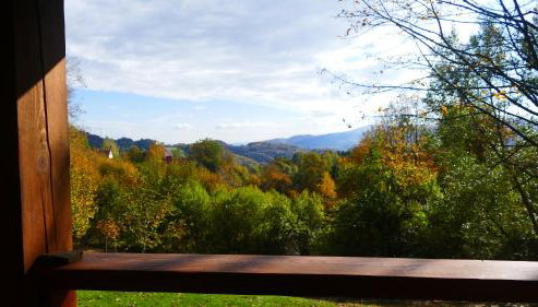 Chatka Pod Dębem - Foto 4