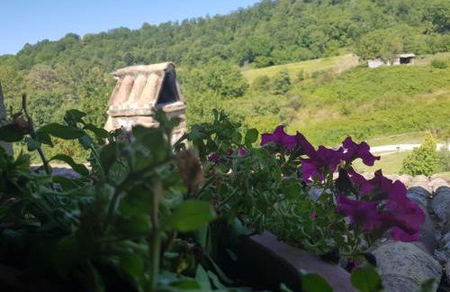 Agriturismo Santa Giusta - Foto 23