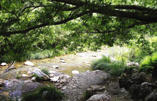 Andrea Sofi Guesthouse - Photo 59