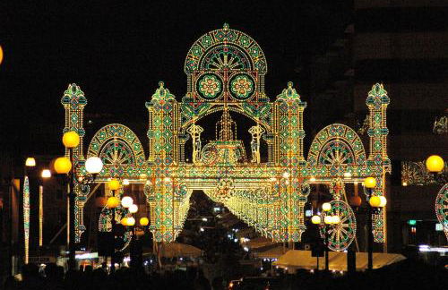 Pajara Rugiada - Foto 51