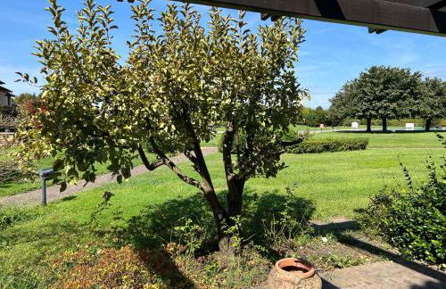 Terme Colli Golf - Suite La Montecchia - Foto 24