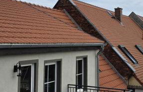 Ferien im Gartenrausch - Gönn Dir eine Auszeit im Herzen von Wörlitz - Foto 10