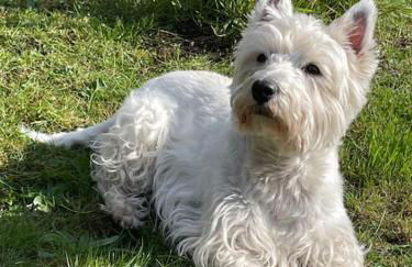 Stella Mare charmante maison proche du Touquet - Foto 24