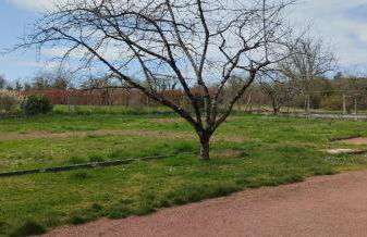 Au fief du château - Foto 7