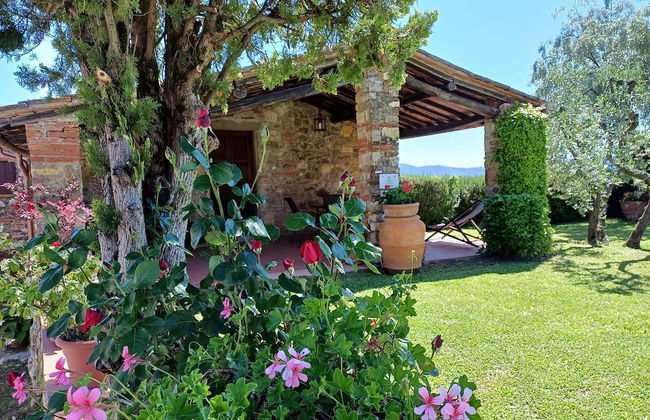 Farmhouse in Tuscany With Olive Grove Views - Photo 24