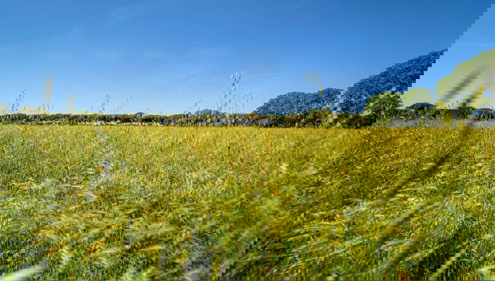 Agriturismo Bio Femminella - Foto 1, Imagen principal