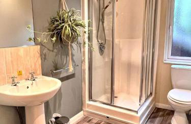 Welsh Villa-Hot Tub-Tenby-Carmarthen-Forestsetting - Foto 12