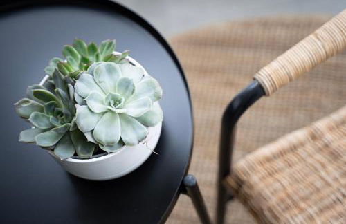 Haus Seeadler 2 EG - Foto 9