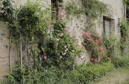 Casa Tapiolas Rectoría - Foto 53