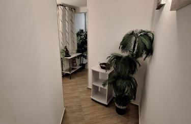 Tra I Normanni E Cattedrale Apartament Palermo - Foto 9