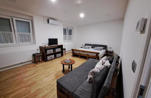 GAG Apartment in TRAM zone with FREE PARKING in front of the house - Photo 11