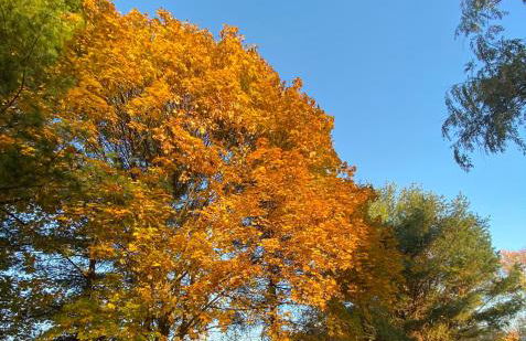 Roadhaven1830 - Foto 92