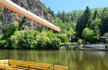 Wohnung mit Blick auf den Rheingrafenstein - Foto 12