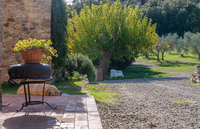 Podere Vignali - Foto 69