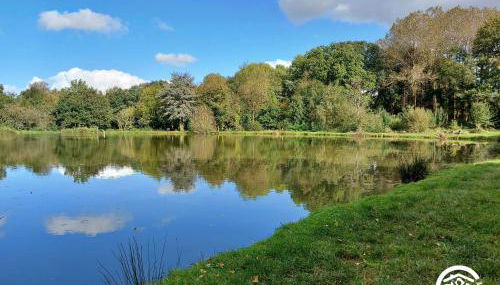 Le nid dans le chêne - Photo 4