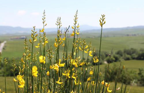 La Terrazza sulla Val d'Orcia - Foto 36