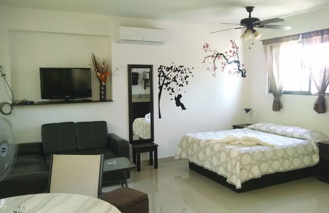 Xtansia Pakal - Foto 3