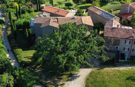 L'Abbraccio della Quercia - Apartments - Foto 28