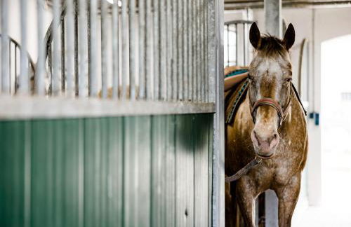 Wohnung in Lübberstorf am Neuklostersee - Foto 24