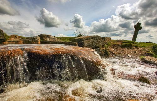 Little Forda - Foto 19