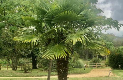 Évasion champêtre : Maison avec piscine, tennis, et étang au cœur de 50 hectares de forêt - FR-1-410-307 - Photo 16