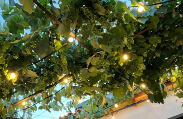 Casa Bizarra - Foto 30