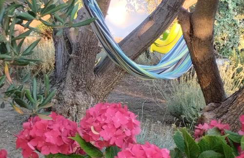 Apartmani Gero - Photo 50