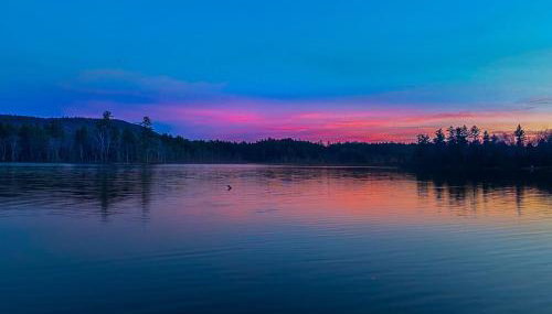 Cozy in the Woods - Foto 4