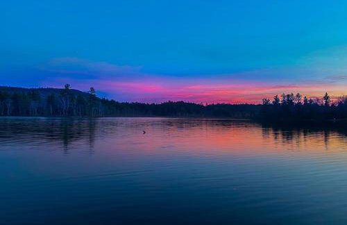 Cozy in the Woods - Foto 4