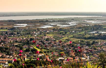 IL CILIEGIO SUL LAGO 6, Emma Villas - Foto 68