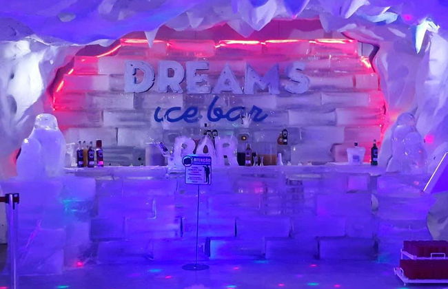 Entrada al Dreams Ice Bar - Foto 8