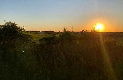 Bonita Rita - Photo 46