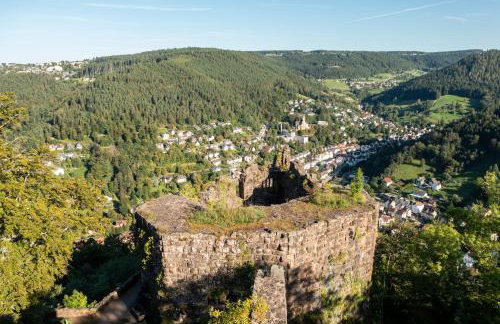 Ferienwohnungen Schwabenhof - Foto 49