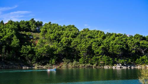 Apartment Bazdaric - Foto 5