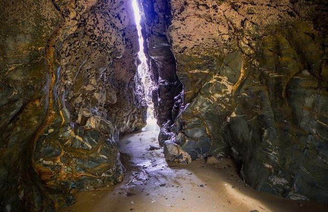 Cosy Shepherds Hut nr Kynance Cove - Foto 32