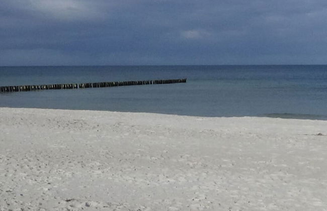 Seeschwalbe Modern Retreat - Foto 30