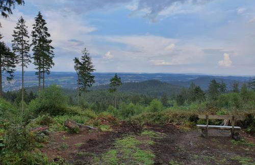 FeWo Harling - Waldoase - Foto 15