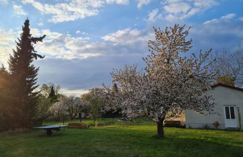 Auszeit in Märkische Schweiz - Photo 1