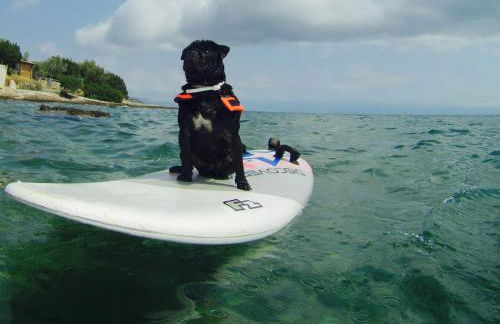 Villa Liana - Photo 14