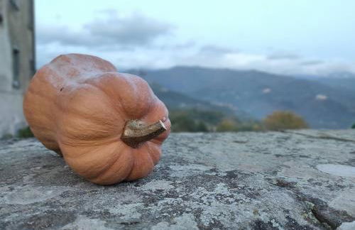 BENVENUTI A CASA PAOLA , WELCOME IN GARFAGNANA! - Foto 25