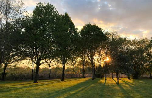 La bergerie des Landes - Foto 20