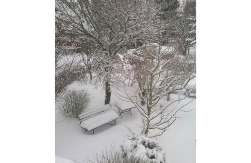 Apartment at the Knappensee in Gross Sarchen - Foto 53