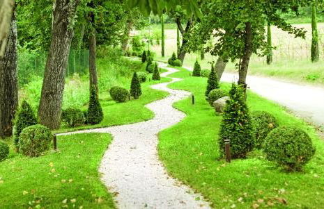 Corte San Ruffillo-Azienda Agrituristica - Foto 160