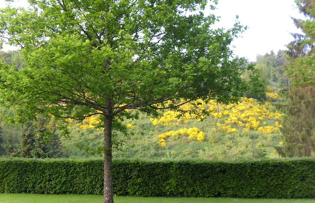 Modern Apartment in Sauerland With Balcony - Foto 48