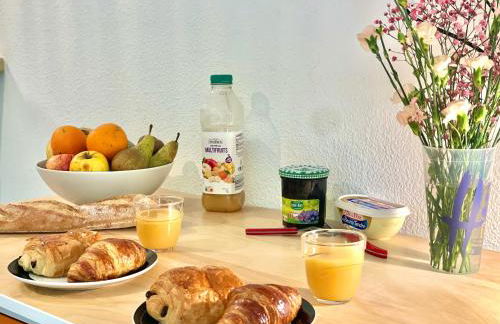 " Terrasse Téléo " Hôpital Rangueil - Pech David - Foto 8