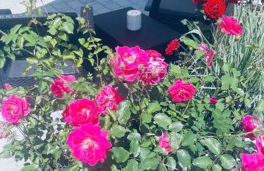 Studio Apartmani BISER 1, 2, 3 Deluxe - Foto 74