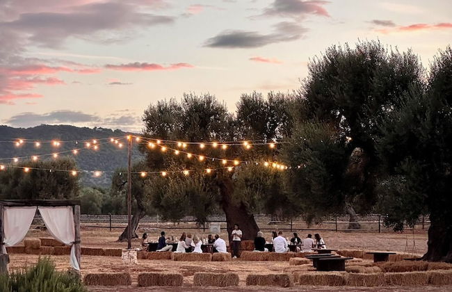 Masseria Salamina - Foto 58