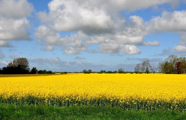 Ferienwohnung Seestern - Foto 8