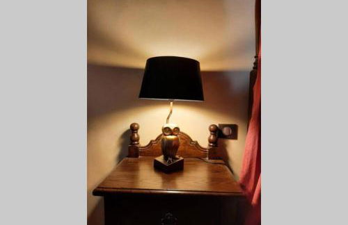 MAISON DE NOSTRADAMUS*** OCCITANIE INSOLITE - Foto 28