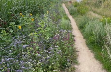 SOLund - Sonne im Herzen - ruhige und sonnige Ferienwohnung mit Terrasse und Garten nahe Strand und Ostsee - Foto 34